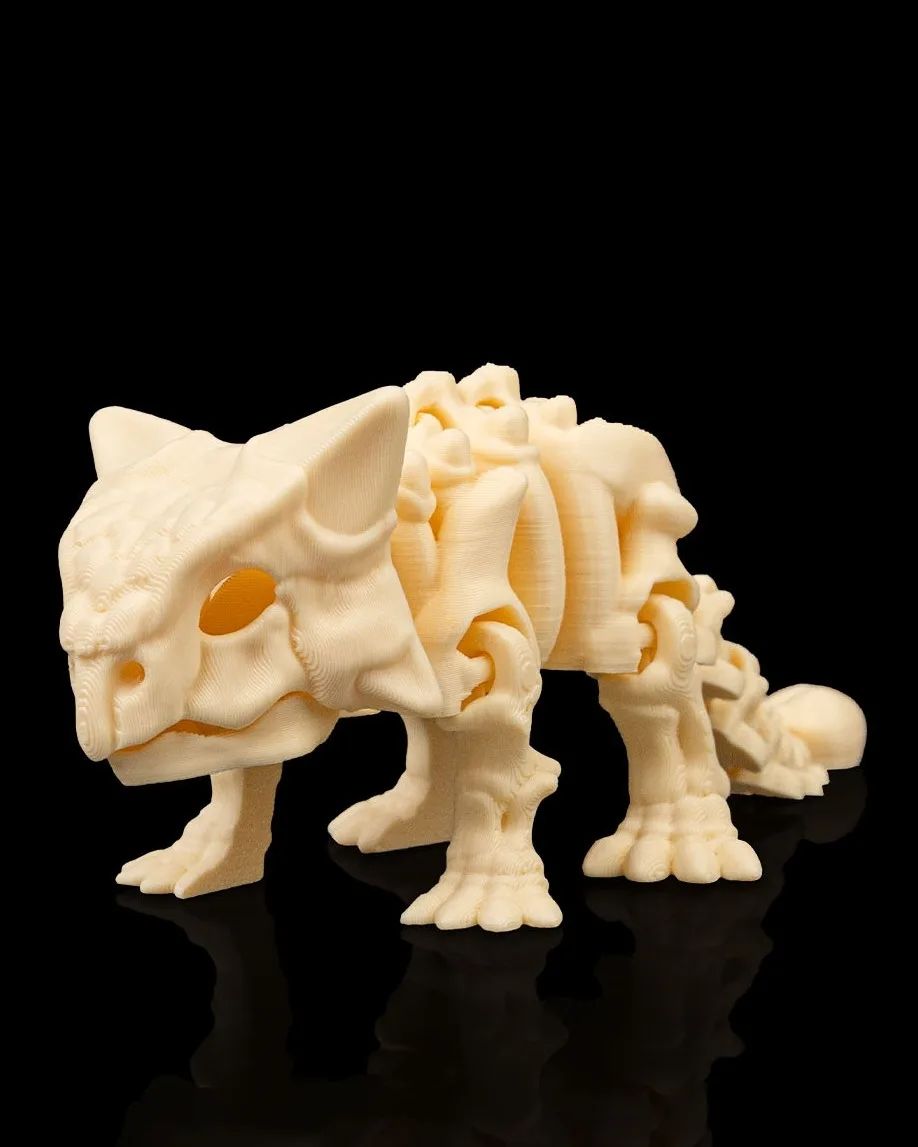 Skeleton Ankylosaurus