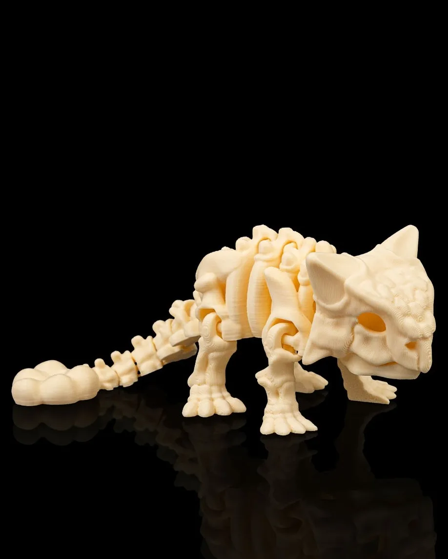 Skeleton Ankylosaurus