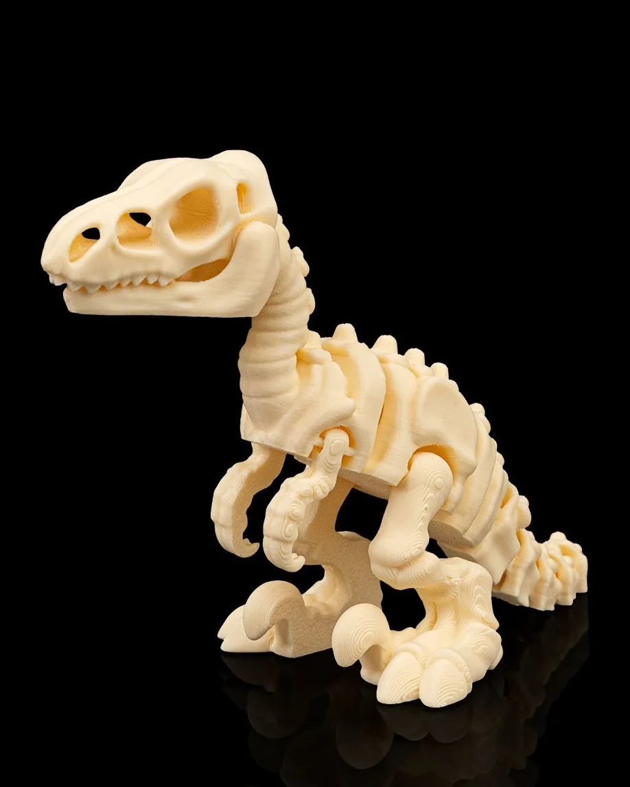Skeleton Velociraptor