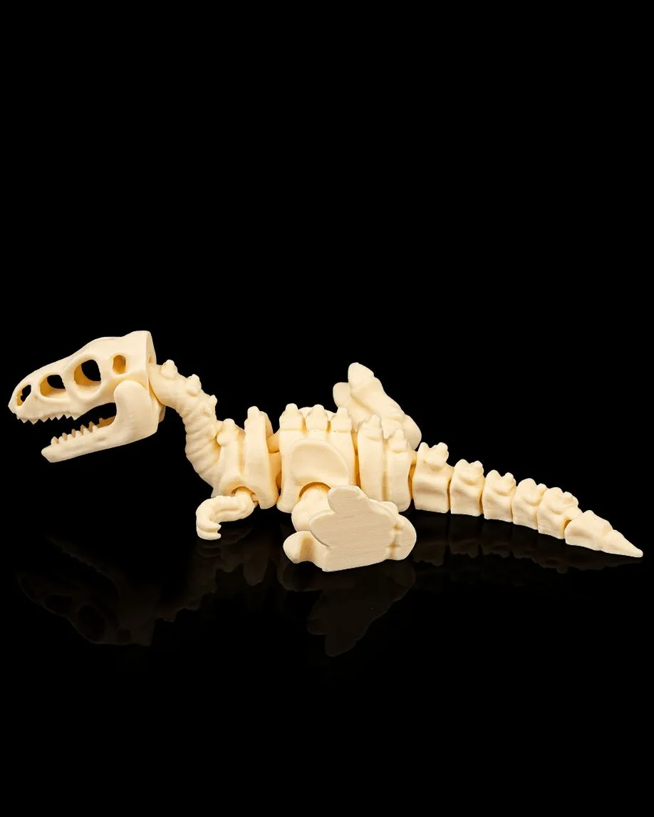 Skeleton Velociraptor