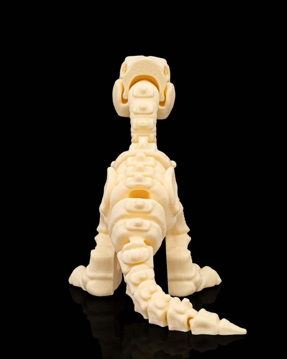 Skeleton Velociraptor