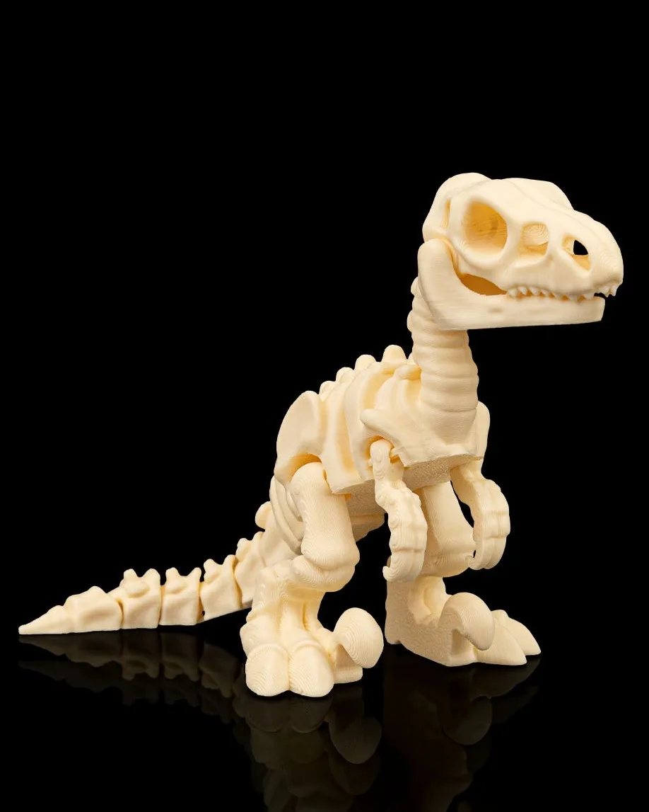 Skeleton Velociraptor