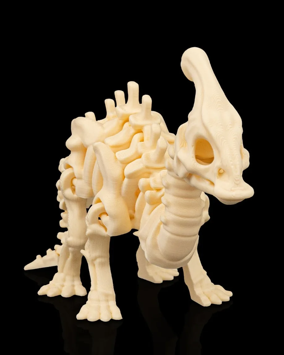 Skeleton Parasaurolophus