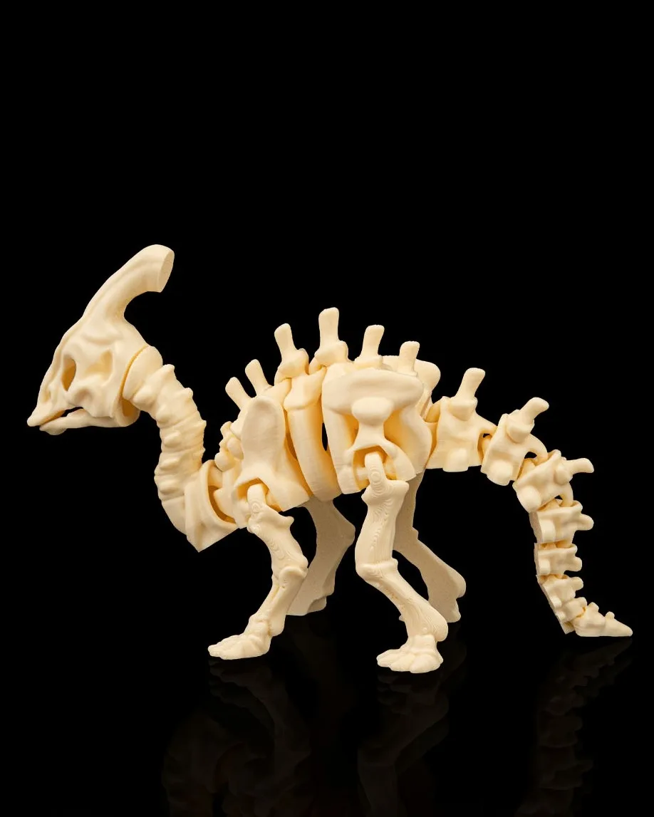 Skeleton Parasaurolophus