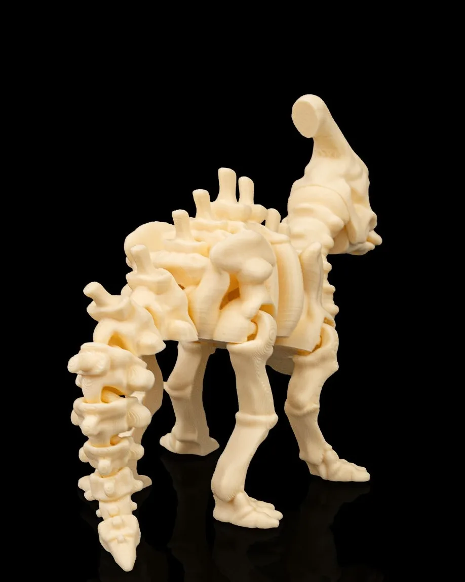 Skeleton Parasaurolophus