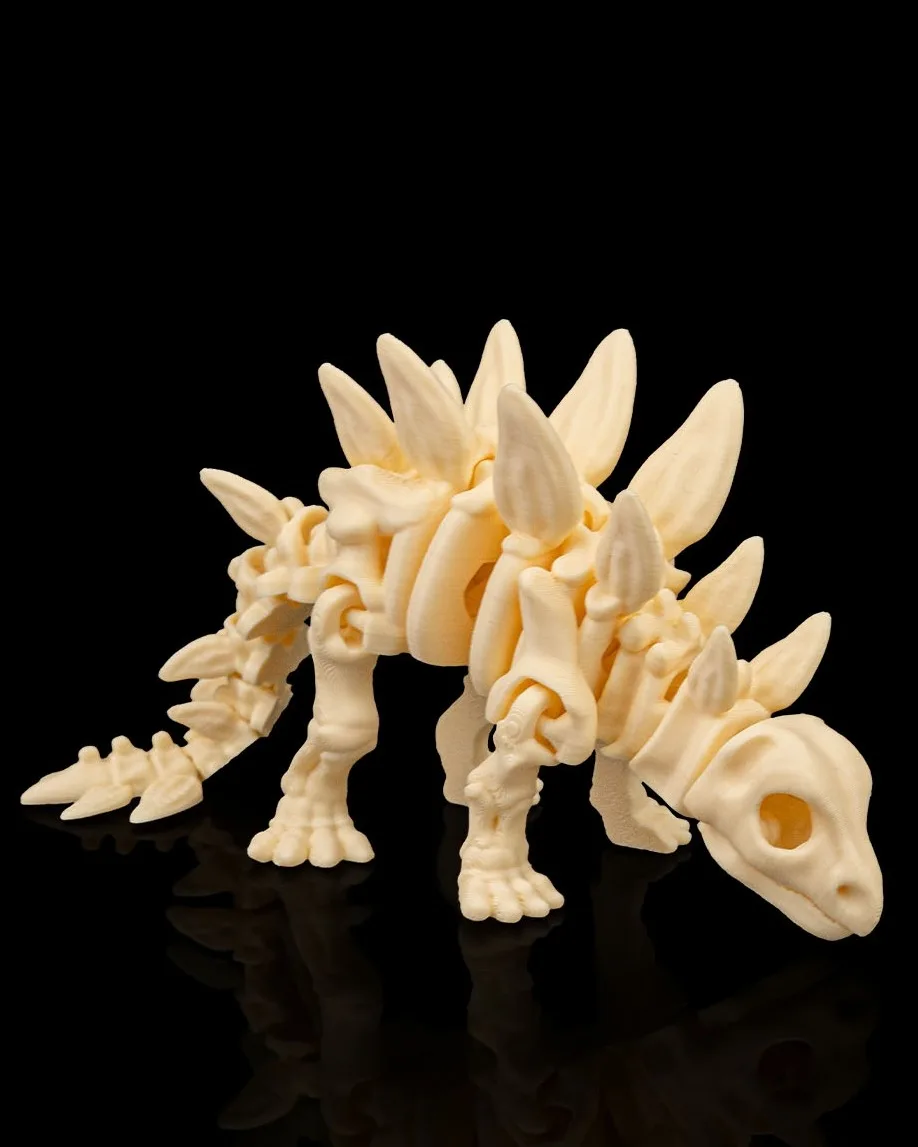 Skeleton Stegosaurus