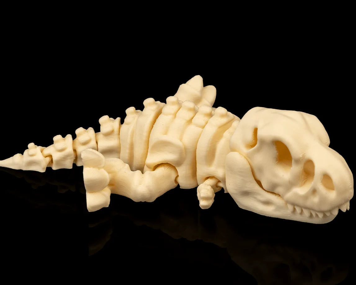 Skeleton T-Rex