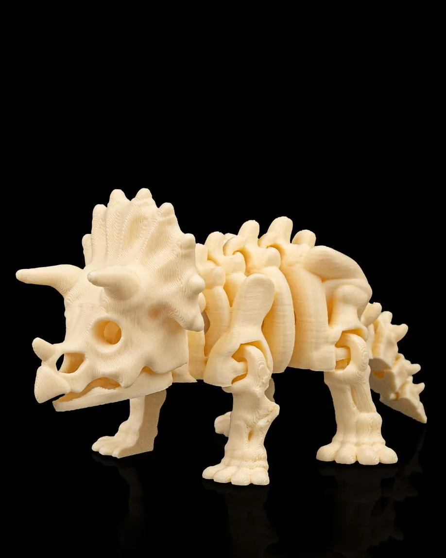 Skeleton Triceratops