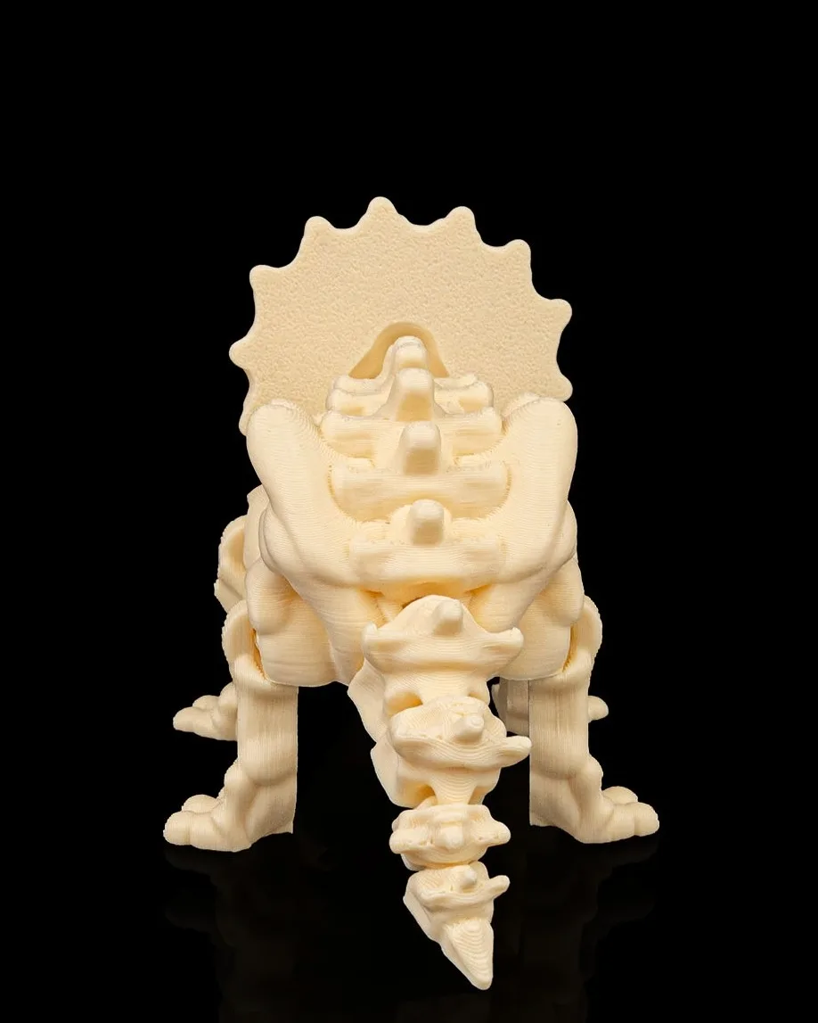 Skeleton Triceratops